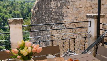Location Bonnieux Provence - Foto 2