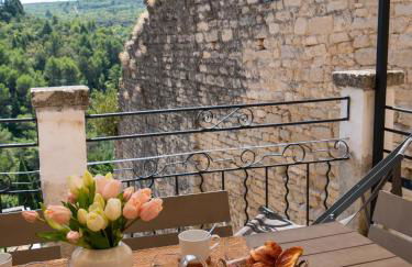 Location Bonnieux Provence - Foto 2