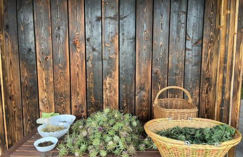 Ca' Inua - arte, bosco, ospitalità - Photo 8