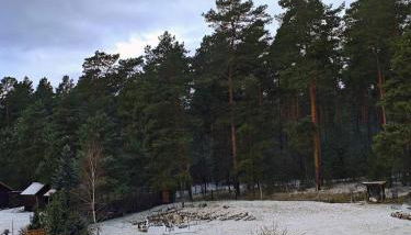 Tiny House am Waldrand - Foto 2