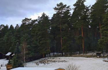 Tiny House am Waldrand - Foto 2