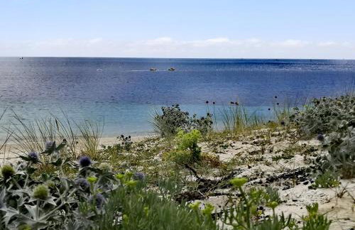 La Maison de la Mer - Foto 12