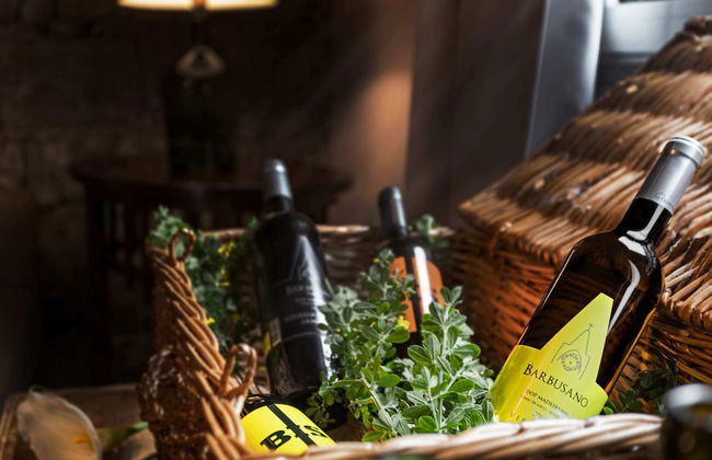 Casa do Lanço I by An Island Apart - Foto 26