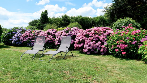 Les Volets Rouges - Foto 2, Terrace