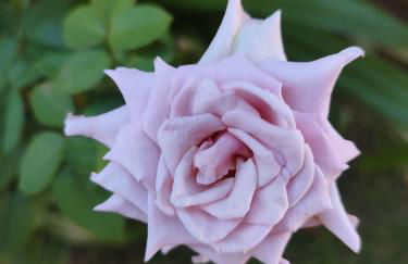 Casabeijaflorpontal - Foto 23