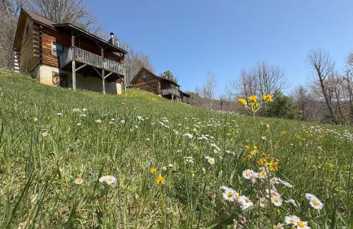 Cozy Bear Cabin-Stunning Mountain View, Dogs welcome with Pet Rate - Foto 14