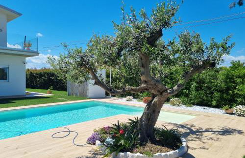 Carezza del mare - Foto 41