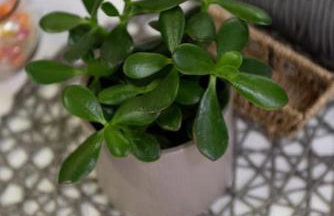 City Center Apartment with Free Parking - Foto 22