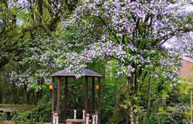 Quintal do Garnizé - Unidade Beija-Flor - Foto 25