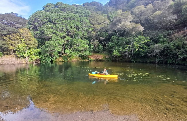 Te Mata Lodge - Foto 34