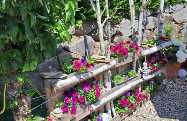 Schwarzwaldmarie - Foto 25