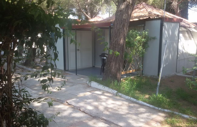 Parco delle Viole - Foto 8