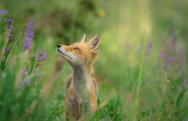 Louredo Valley Hiking Tour - Photo 5