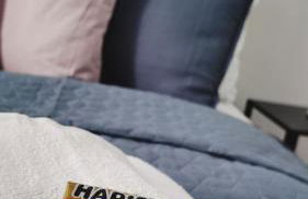 Neu! FeWo Glauchau am Schloss Wlan Netflix Disney - Foto 21