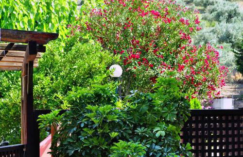 Ilios Studios - Foto 24