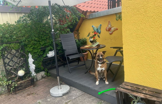 Bungalow in Wernigerode - Foto 19