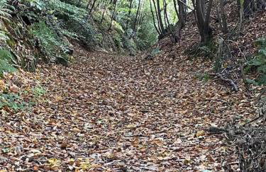 Coghurst Hall Holiday Home Sleeps 6, 2 bedrooms - Foto 42