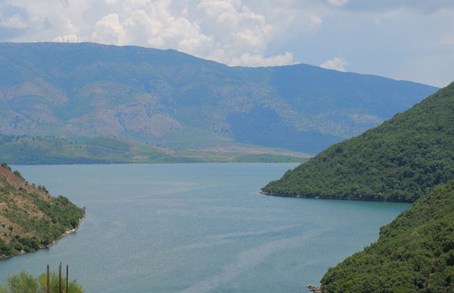 Pellumb Apartments - Photo 44