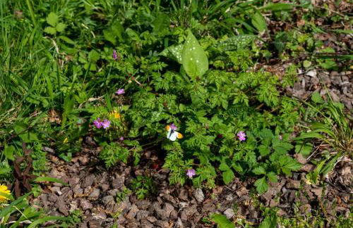 2 Bed in Brecon oc-bn245 - Foto 15