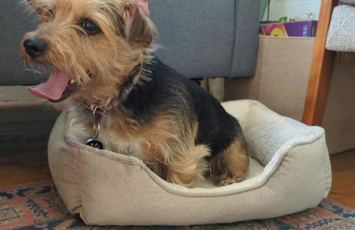 Lough View - Photo 5