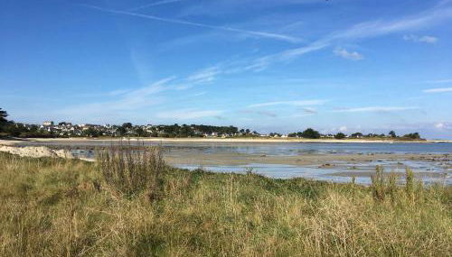 Belle maison avec jardin clos proche plage à l'ILE GRANDE - Réf 291 - Foto 4