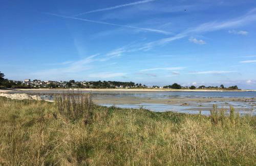 Belle maison avec jardin clos proche plage à l'ILE GRANDE - Réf 291 - Foto 4