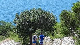 Apartments Doulos - Photo 5