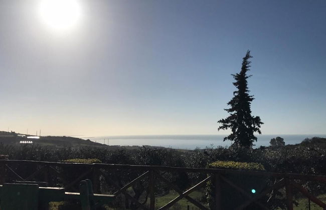 I Cardinali - Foto 13