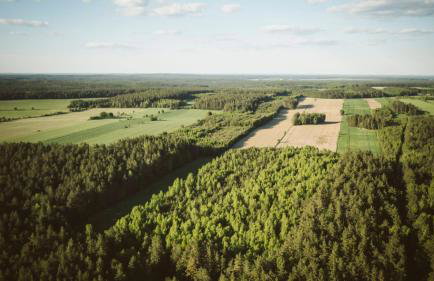 Agroturystyka u Miłosza - Foto 19