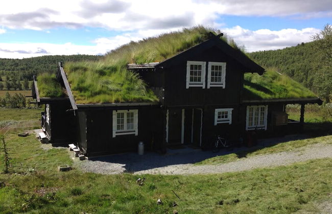 Kvitebjørn Cabin - Ål - Foto 19