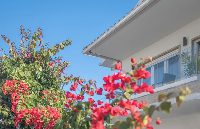 Gold Coast Photography Inn - Photo 39