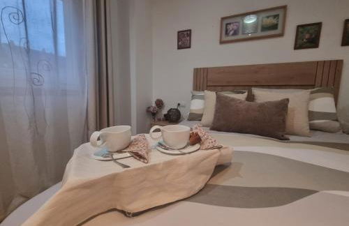 Buen Camino, alojamiento céntrico con terraza - Foto 5