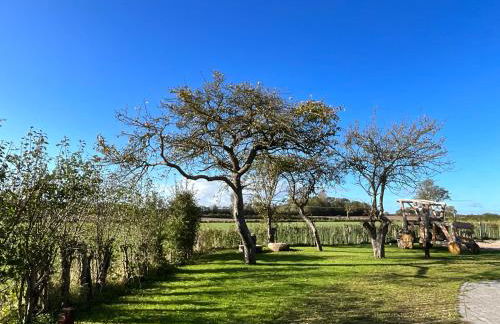 Ferienwohnung „Backhuus“ - Hof Mühlenkoppel - Foto 46