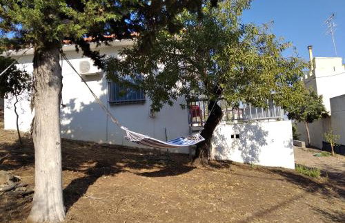 Blackmountain Sea Spot - Foto 29