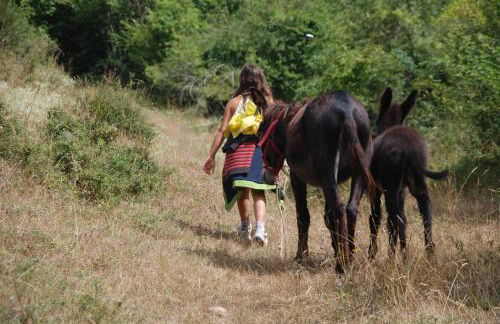 Agroturismo Mari Cruz - Foto 50