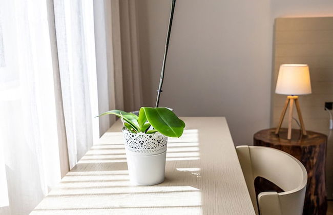 Aldeia Azul - Foto 5