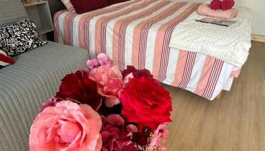 Studio proche Beauval et Châteaux de la Loire - Photo 2