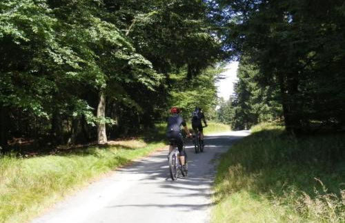 Apartment Birkenhain by Interhome - Foto 10