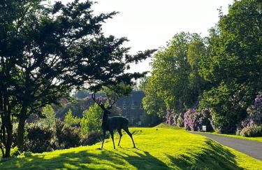 The Forest Cabin Holiday Home 15 - Foto 16