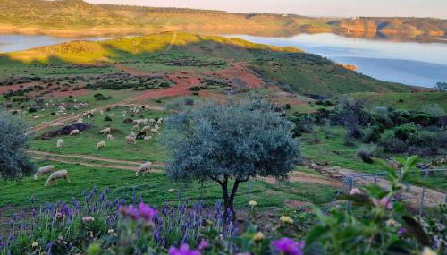 Casas Rurales el Balcon de la Brena - Foto 2