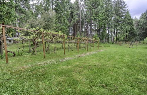 Madrone Hideout - decked out bus! - Foto 23