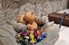 HYP - Lord Parrulo - Foto 7