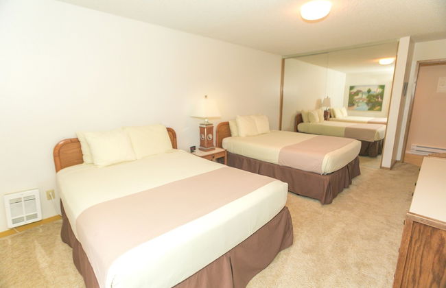 The Grey Gull - Foto 2