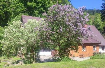 Chata Wilczka - Foto 5