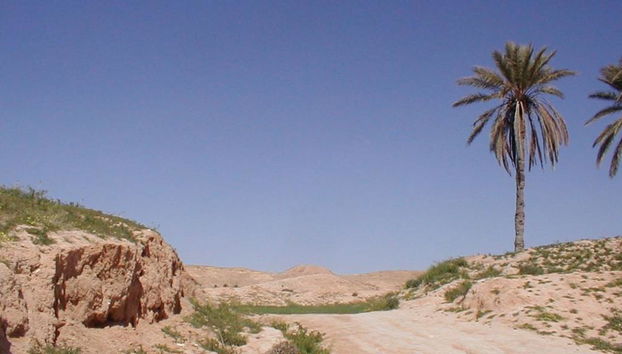 Esplora Matmata e Douz - Escursione di un'intera giornata - Foto 4