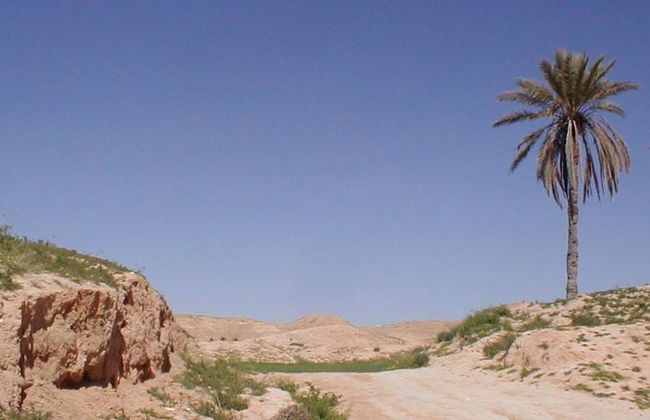 Esplora Matmata e Douz - Escursione di un'intera giornata - Foto 4