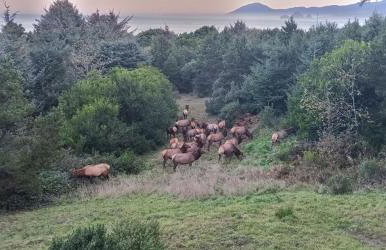 Epic ocean views at this private retreat just minutes from the beach - Foto 7