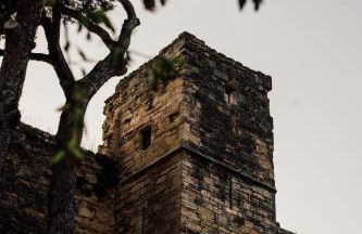 Maison des lavandes - Foto 37