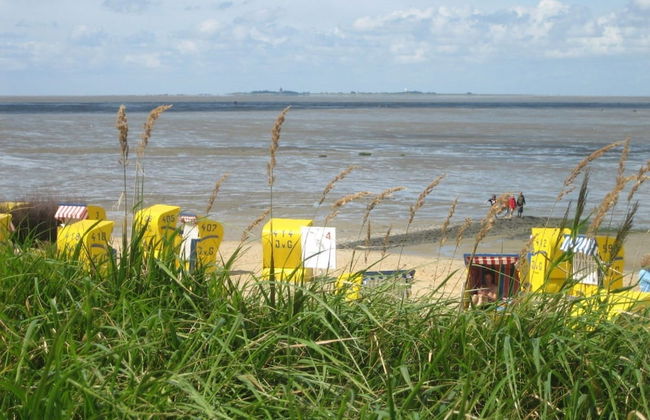 Haus Dünenglück - Foto 47