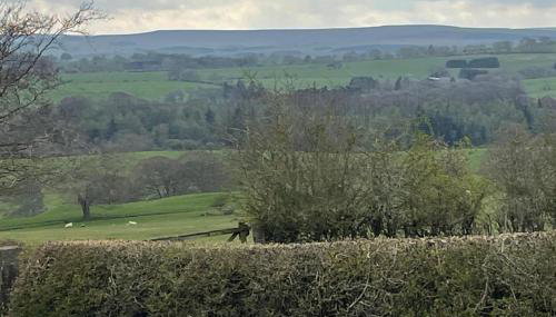 Slaley Forest Caravan petfriendly Retreat sleeps 6 - Foto 5